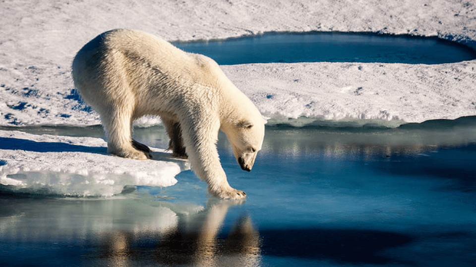 Climate Change Evidence